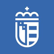 tapicero en Móstoles