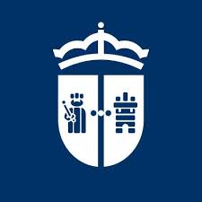 tapicero en Valdemoro